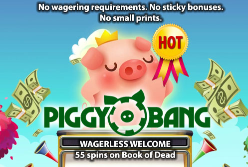 Piggy Bang カジノ